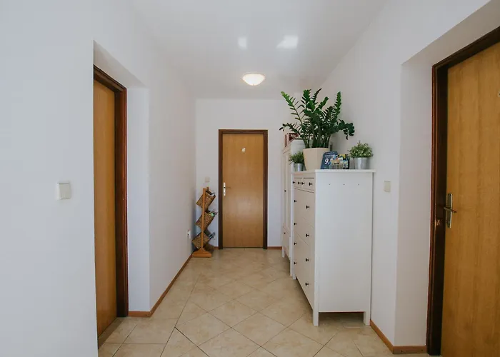 Civadelic 特罗吉尔