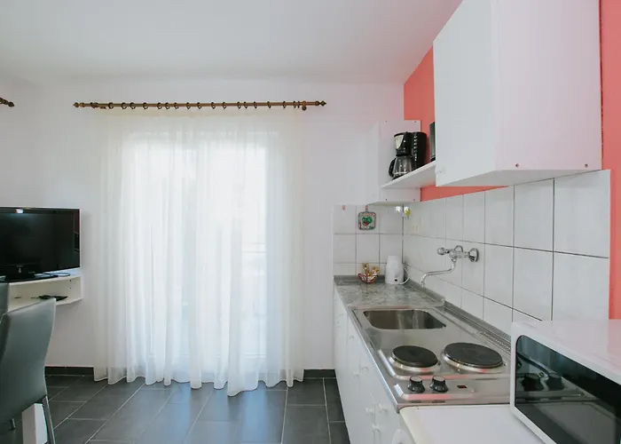 Civadelic 特罗吉尔