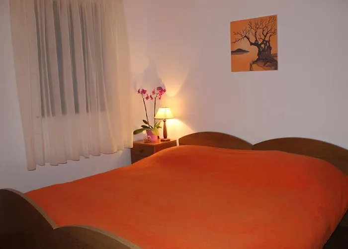 Civadelic 特罗吉尔